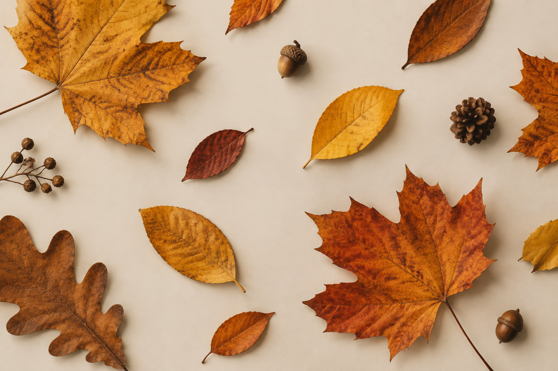 What Should a Baby Wear in Autumn? A UK Guide 🍂